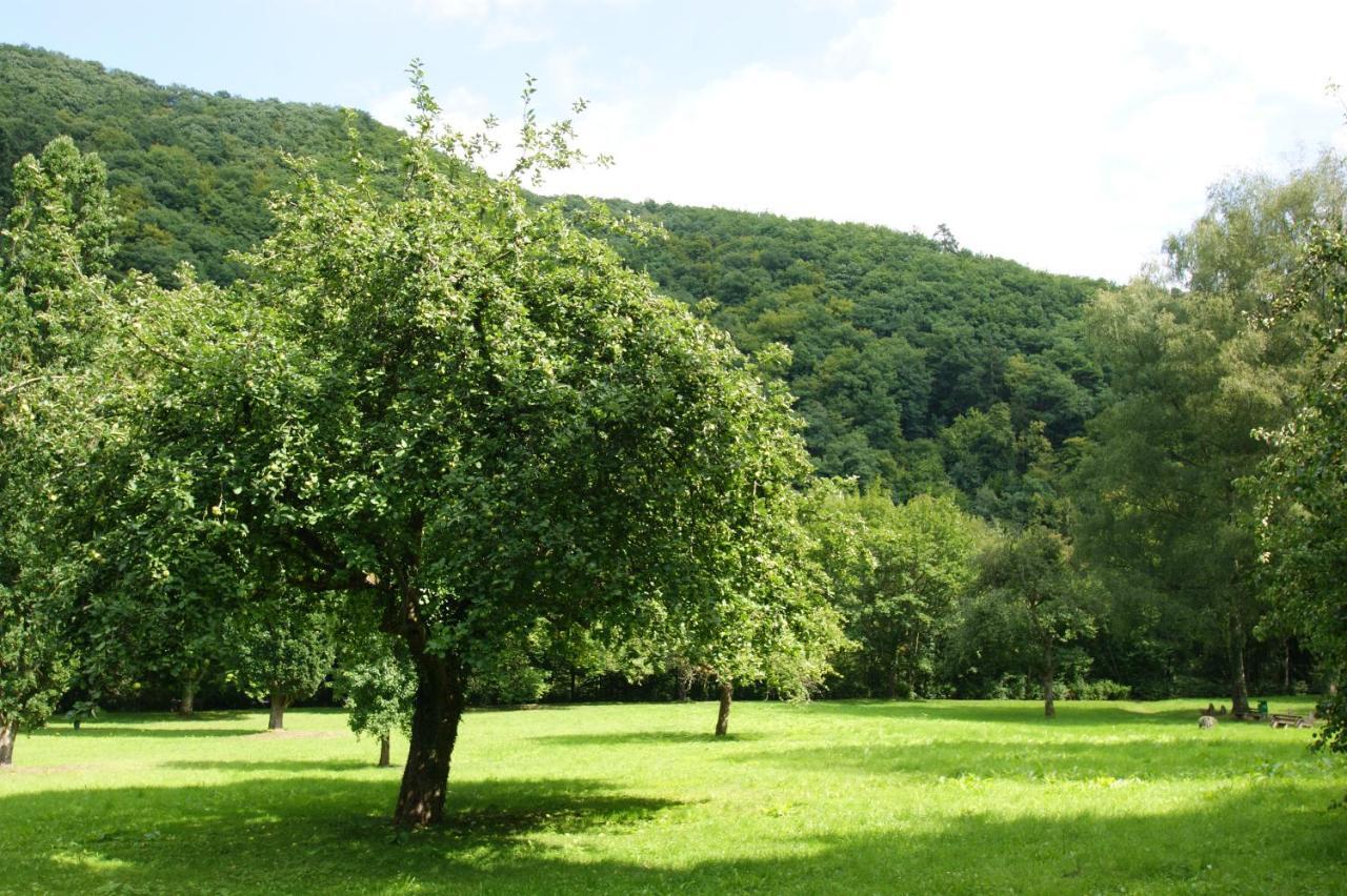 באד ברטריך Bertricher Hof Hotel Garni מראה חיצוני תמונה